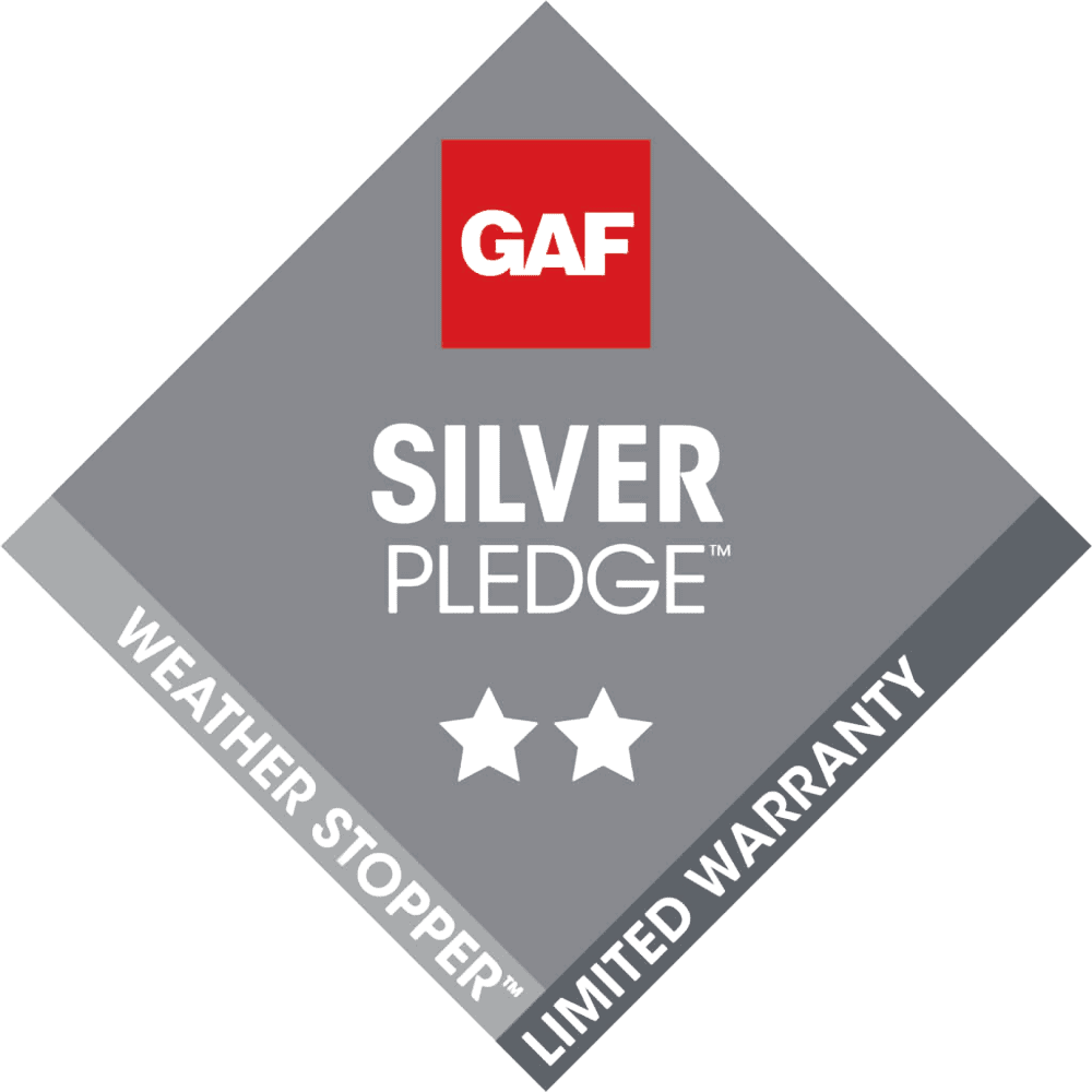 Silver Pledge